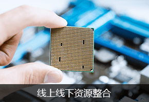 专业的运营推广团队